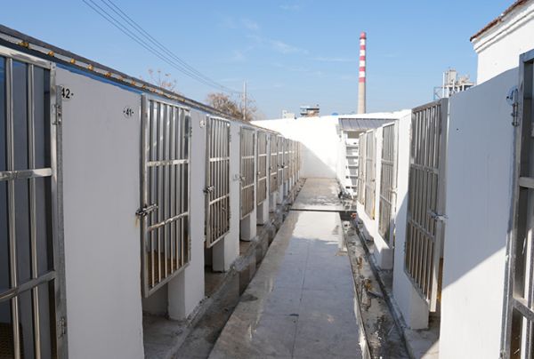 犬饲喂基地